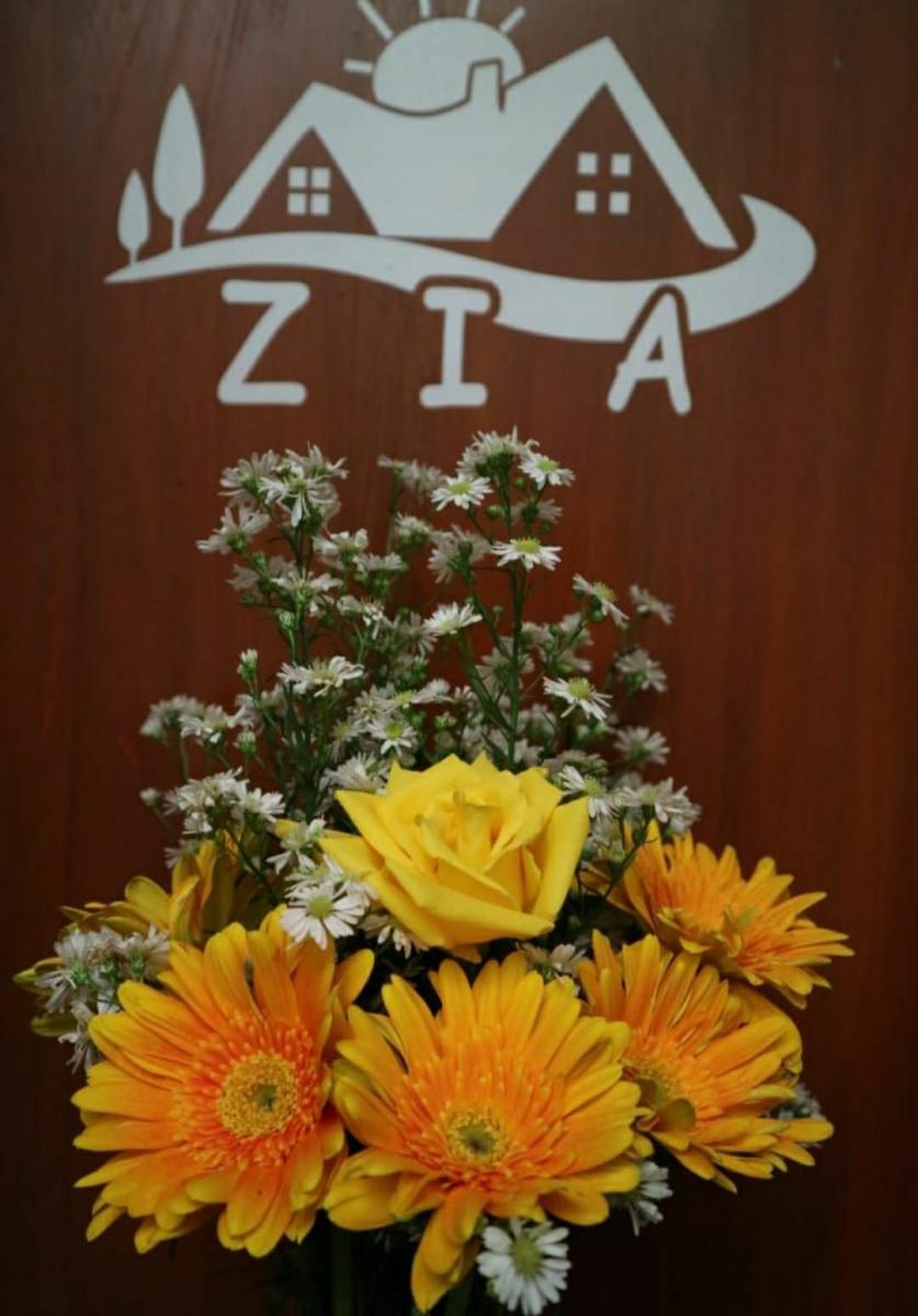 Foto Studio Room - Zia